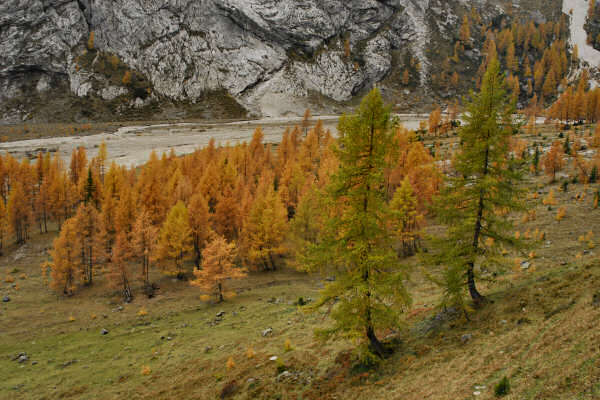 rifugio O.Falier all'Ombretta, Marmolada Dolomiti