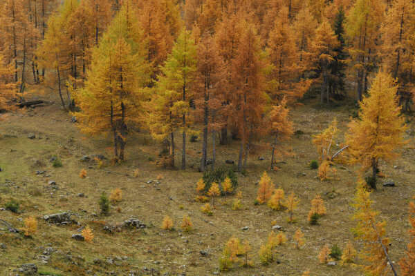 rifugio O.Falier all'Ombretta, Marmolada Dolomiti