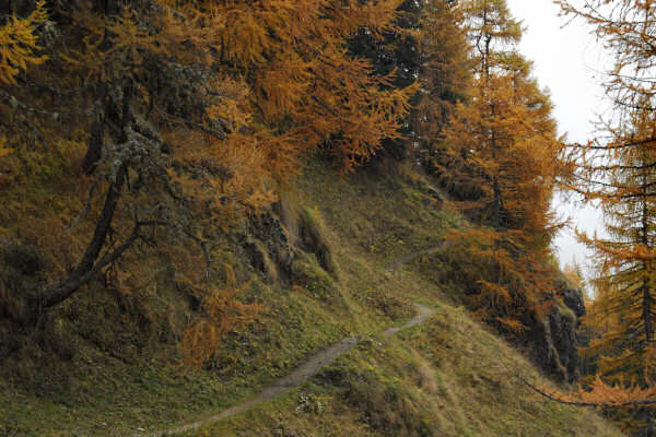 rifugio O.Falier all'Ombretta, Marmolada Dolomiti