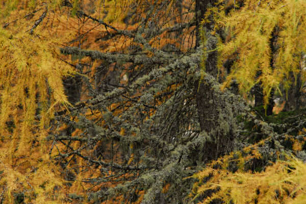 rifugio O.Falier all'Ombretta, Marmolada Dolomiti