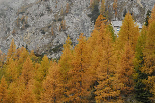 rifugio O.Falier all'Ombretta, Marmolada Dolomiti