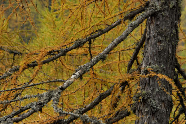 rifugio O.Falier all'Ombretta, Marmolada Dolomiti