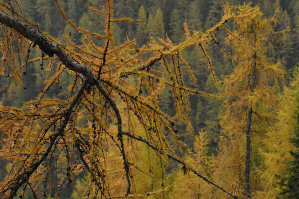 rifugio O.Falier all'Ombretta, Marmolada Dolomiti