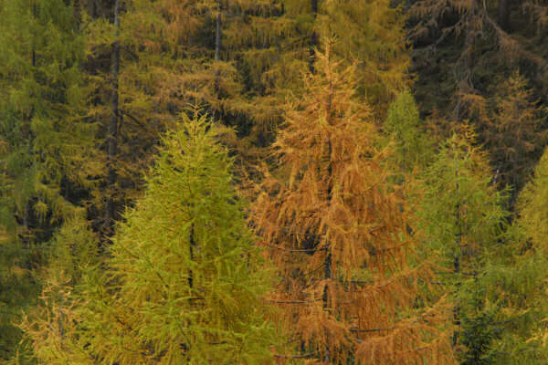 rifugio O.Falier all'Ombretta, Marmolada Dolomiti