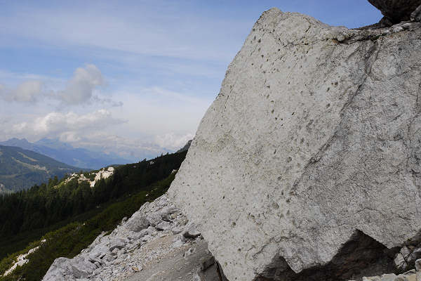 impronte dinosauri al Pelmetto
