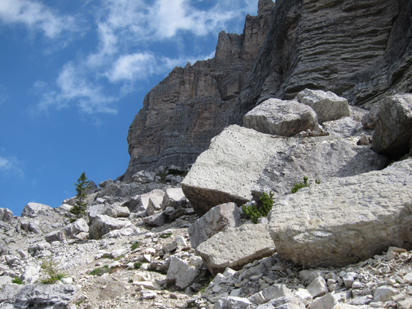 impronte di Dinosauri nel masso di frana al Pelmetto, Pelmo f.lla Staulanza