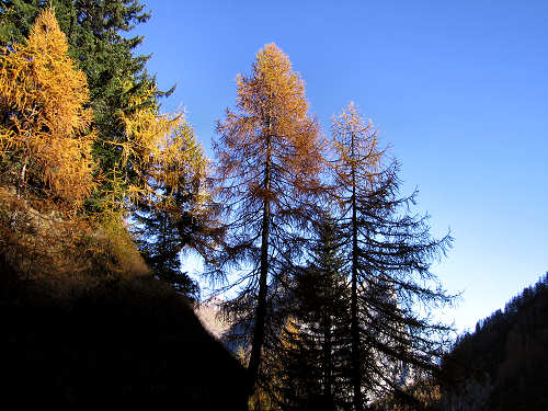 Cime di Pape, Val San Lucano, Taibon Agordino, Gares