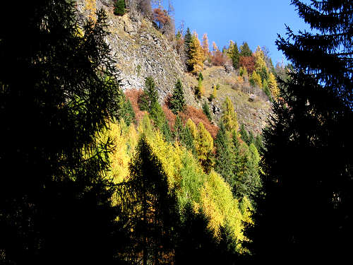 Cime di Pape, Val San Lucano, Taibon Agordino, Gares