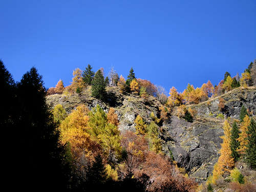 Cime di Pape, Val San Lucano, Taibon Agordino, Gares