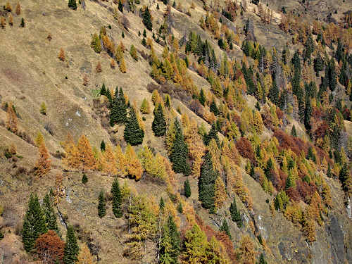 Cime di Pape, Val San Lucano, Taibon Agordino, Gares