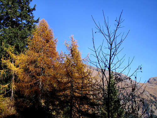 Cime di Pape, Val San Lucano, Taibon Agordino, Gares