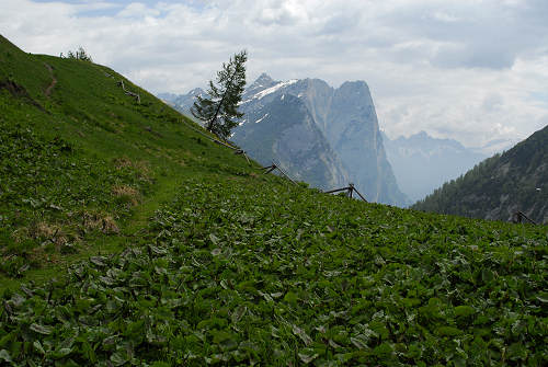 Forcella Cesurette, Casera Campigat, Col di Pra - Gares