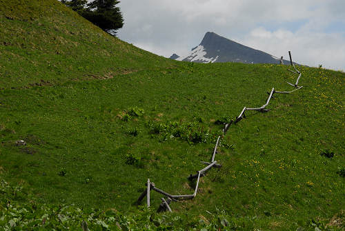 Forcella Cesurette, Casera Campigat, Col di Pra - Gares