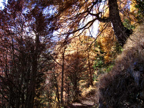 Forcella Cesurette, Casera Campigat, Col di Pra - Gares