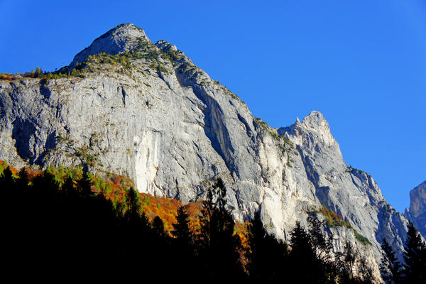 salita in mtb a forcella Cesurette Casera Campigat, da Taibon Valle San Lucano Col di Pra a Gares Canale d'Agordo