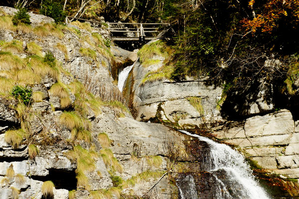 salita in mtb a forcella Cesurette Casera Campigat, da Taibon Valle San Lucano Col di Pra a Gares Canale d'Agordo