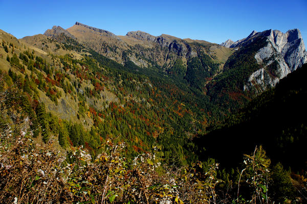 salita in mtb a forcella Cesurette Casera Campigat, da Taibon Valle San Lucano Col di Pra a Gares Canale d'Agordo