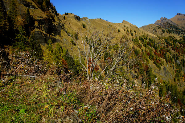 salita in mtb a forcella Cesurette Casera Campigat, da Taibon Valle San Lucano Col di Pra a Gares Canale d'Agordo