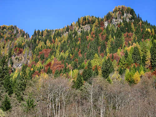 Pont, Col di Pra - Valle San Lucano, Dolomiti