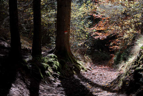 Col di Pra, Val San Lucano, Taibon Agordino