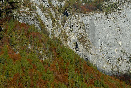 Col di Pra, Val San Lucano, Taibon Agordino
