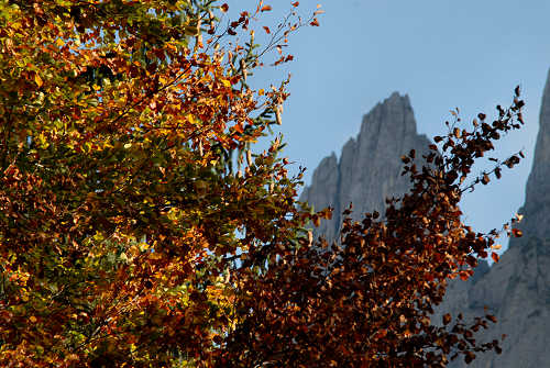 Col di Pra, Val San Lucano, Taibon Agordino
