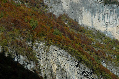 Col di Pra, Val San Lucano, Taibon Agordino