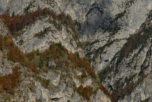Col di Pra, Val San Lucano, Taibon Agordino