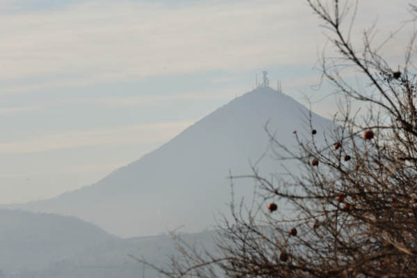 Arquà Petrarca - Colli Euganei