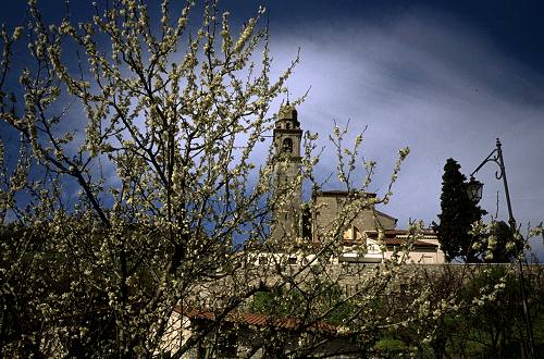 Arquà Petrarca - Colli Euganei