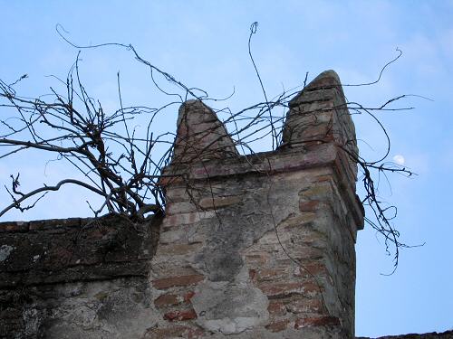 Arquà Petrarca - Colli Euganei