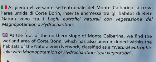 Monte Calbarina, Arqua Petrarca