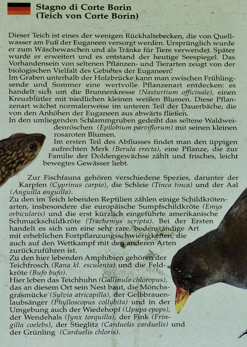 Stagno di Corte Borin al monte Calbarina, Arqua Petrarca