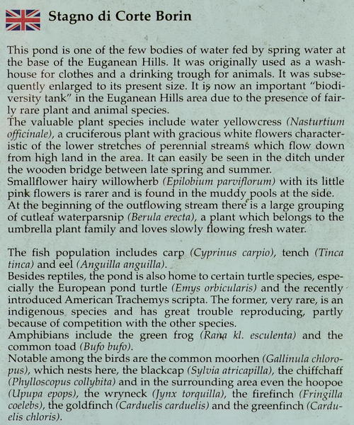 Stagno di Corte Borin al monte Calbarina, Arqua Petrarca