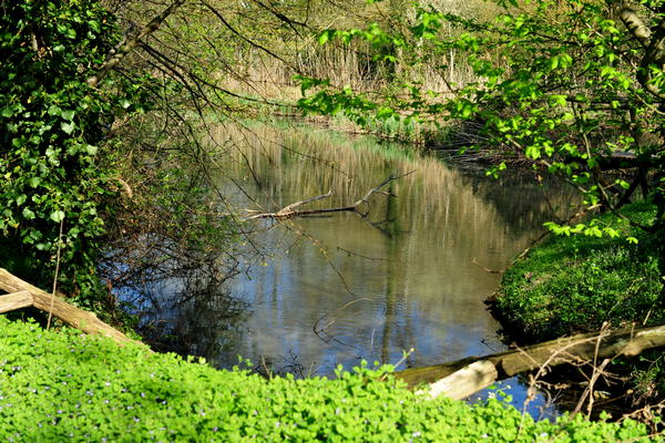 Arquà Petrarca monte Calbarina Stagno Corte Borin - Colli Euganei