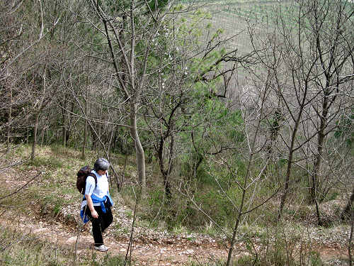 Arquà Petrarca, Valle San Giorgio, Monte Fasolo e Colli Euganei