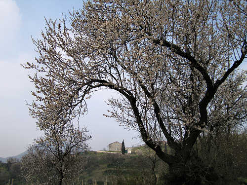 Arquà Petrarca, Valle San Giorgio, Monte Fasolo e Colli Euganei