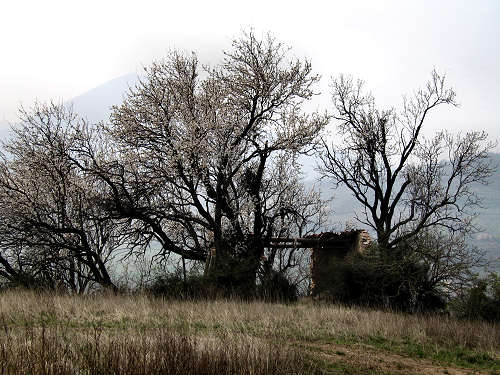 Arquà Petrarca, Valle San Giorgio, Monte Fasolo e Colli Euganei