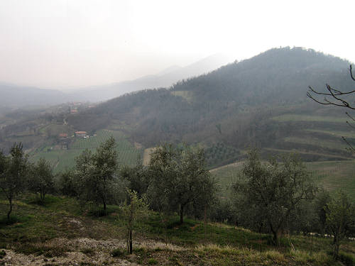 Arquà Petrarca, Valle San Giorgio, Monte Fasolo e Colli Euganei