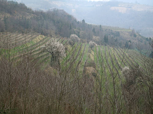 Arquà Petrarca, Valle San Giorgio, Monte Fasolo e Colli Euganei