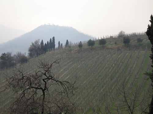 Arquà Petrarca, Valle San Giorgio, Monte Fasolo e Colli Euganei
