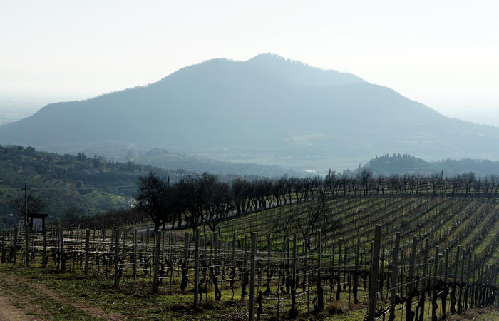 Sentiero Atestino nei Colli Euganei, Arquà Petrarca, Mottolone Valle di Sopra villa Beatrice al Gemola monte Rusta Fasolo Calto Callegaro Ventolone