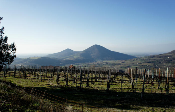 Sentiero Atestino nei Colli Euganei, Arquà Petrarca, Mottolone Valle di Sopra villa Beatrice al Gemola monte Rusta Fasolo Calto Callegaro Ventolone
