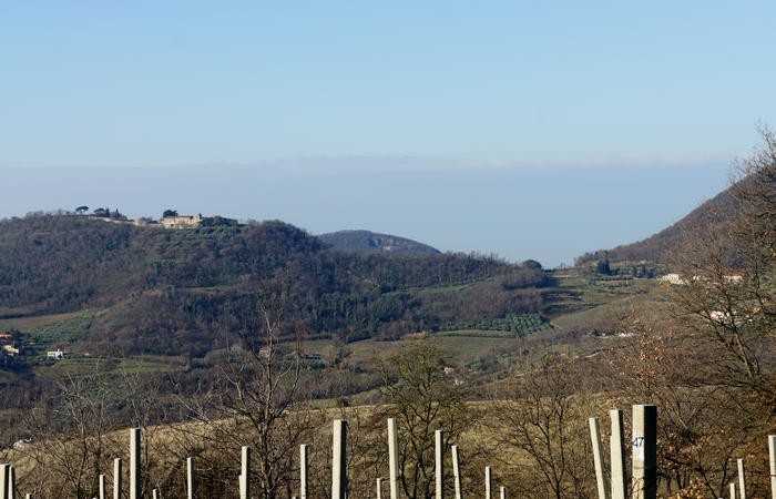 Sentiero Atestino nei Colli Euganei, Arquà Petrarca, Mottolone Valle di Sopra villa Beatrice al Gemola monte Rusta Fasolo Calto Callegaro Ventolone