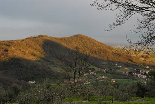 panorama da Calaone di Baone