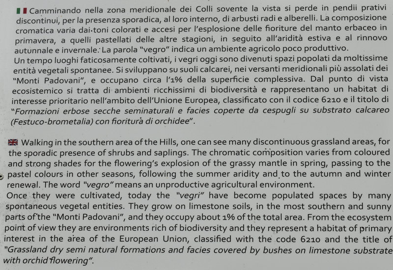 Parco delle Ginestre a Rivadolmo di Baone