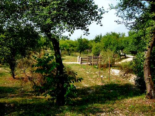Parco Ginestre a Rivadolmo di Baone