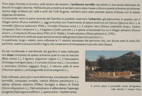 Parco Ginestre a Rivadolmo di Baone