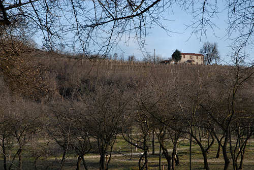 Parco Ginestre a Rivadolmo di Baone