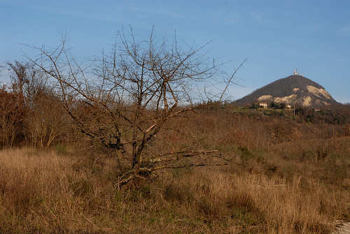 Parco Ginestre a Rivadolmo di Baone
